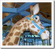 Carosel giraffe