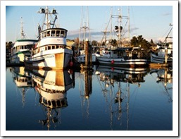 Shadow_Fishing boats