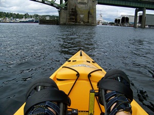 Hobby-cat P/V Goldfish