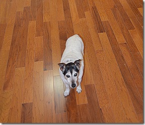 Cyrano Lary at Sherwood house