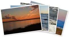 Ebey Natural Preserve