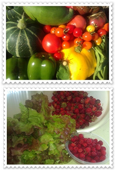 Produce from Lary garden