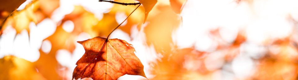 Matt Lewis photography from UnSplash