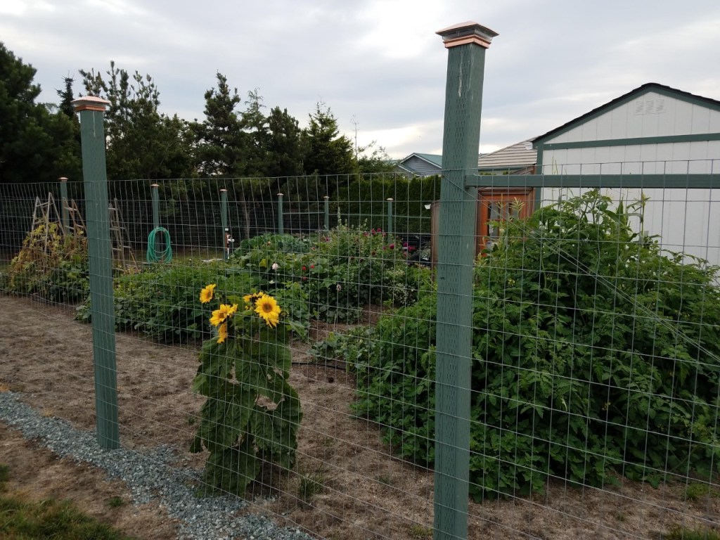 rajalary, rich lary, julie lary, scribbles writing, garden