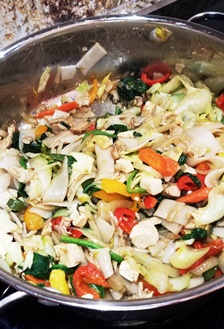 julie lary, rich lary, rajalary, scribbles, Northwest Flower and Garden Festival