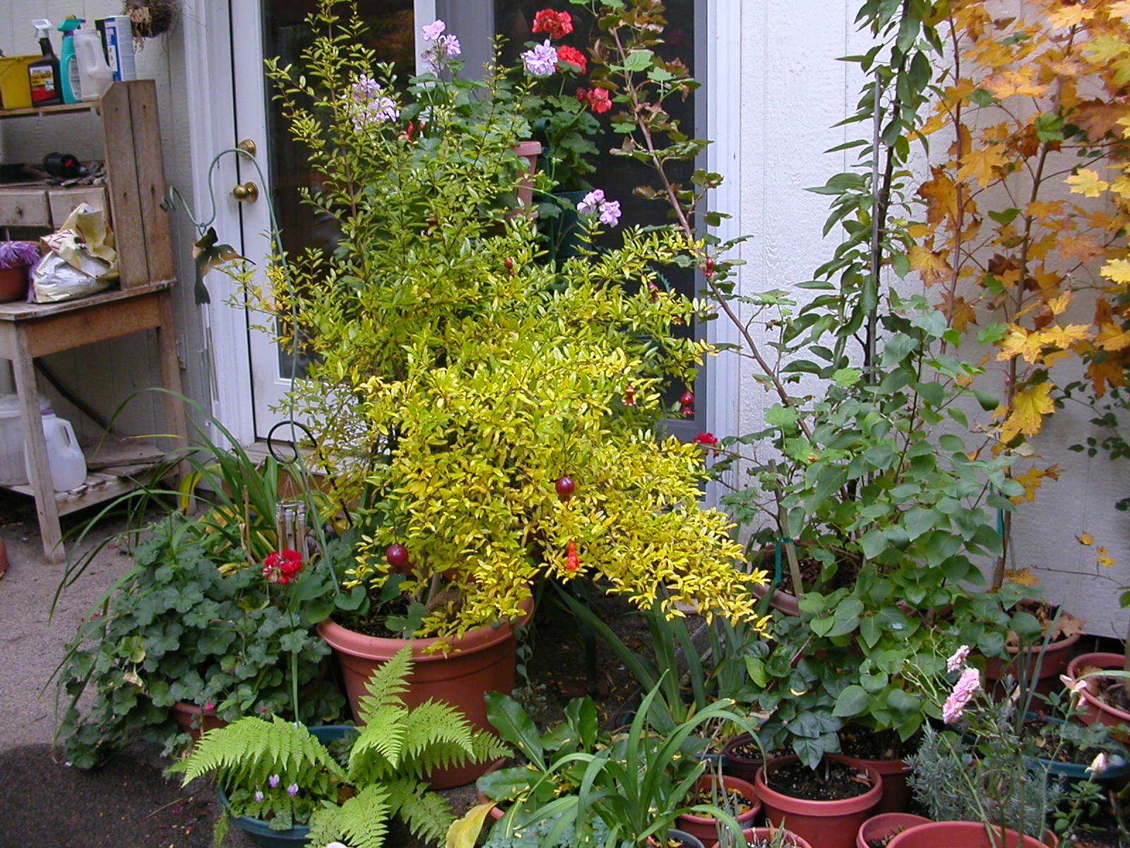 julie lary, richard lary, rajalary, scribbles, Sherwood, house sale